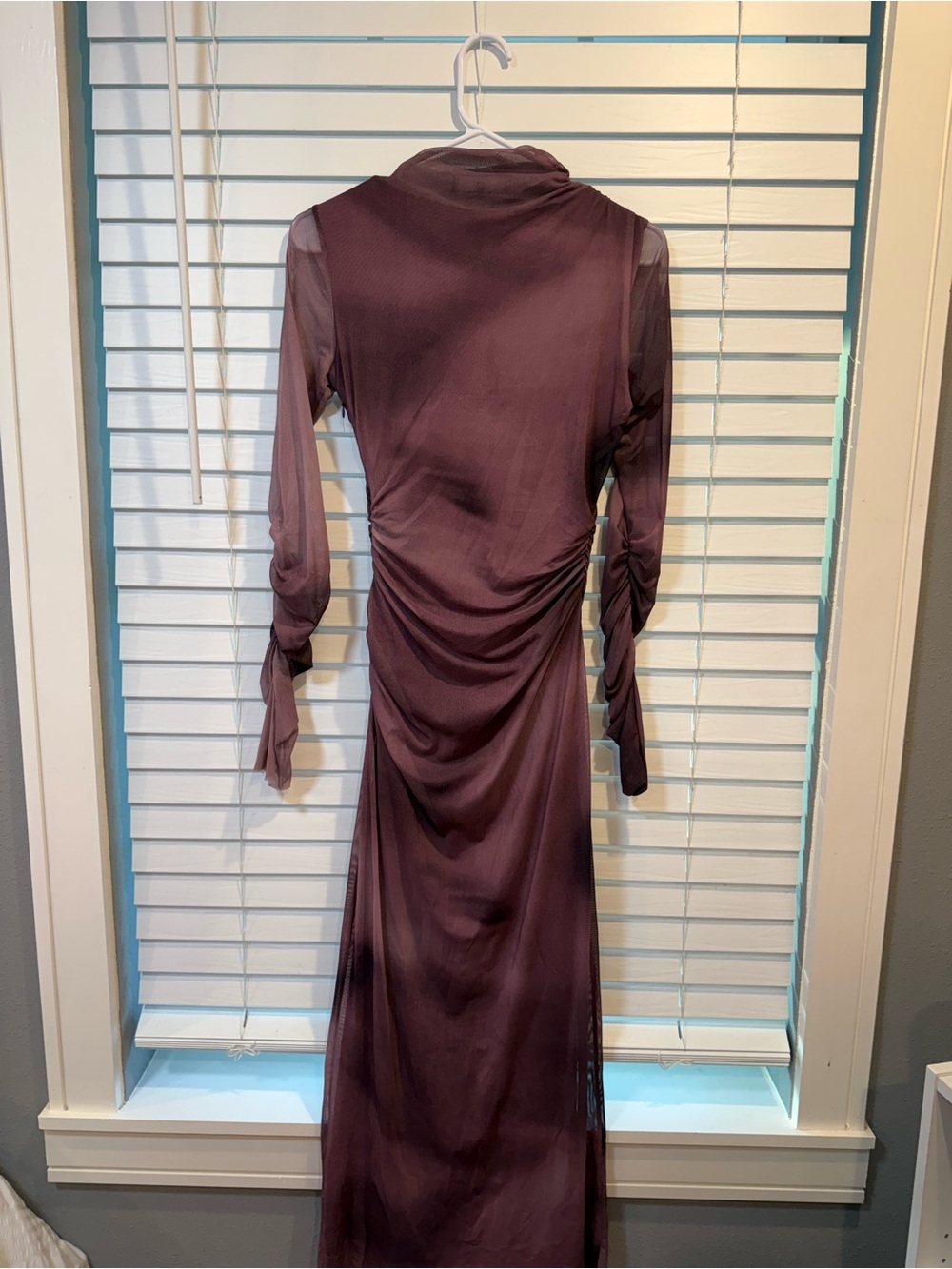 Zara Plum Sheer Long-Sleeve Ruched Maxi Dress
